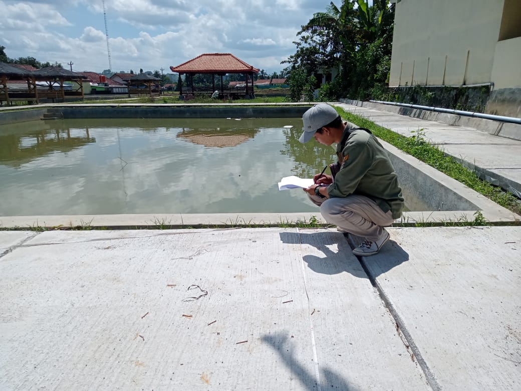 PEMBANGUNAN JALAN BETON KOLAM DESA KALIPELUS